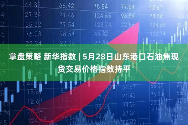 掌盘策略 新华指数 | 5月28日山东港口石油焦现货交易价格指数持平