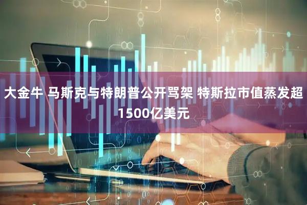 大金牛 马斯克与特朗普公开骂架 特斯拉市值蒸发超1500亿美元