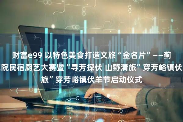 财富e99 以特色美食打造文旅“金名片”——蓟州区举办农家院民宿厨艺大赛暨“寻芳探伏 山野清旅”穿芳峪镇伏羊节启动仪式