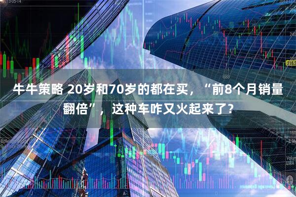 牛牛策略 20岁和70岁的都在买,“前8个月销量翻倍”,这种车咋又火起来了?