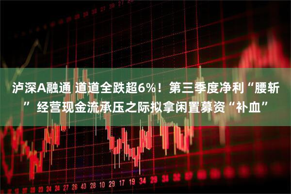 泸深A融通 道道全跌超6%！第三季度净利“腰斩” 经营现金流承压之际拟拿闲置募资“补血”