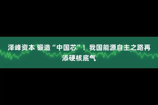 泽峰资本 锻造“中国芯”!我国能源自主之路再添硬核底气